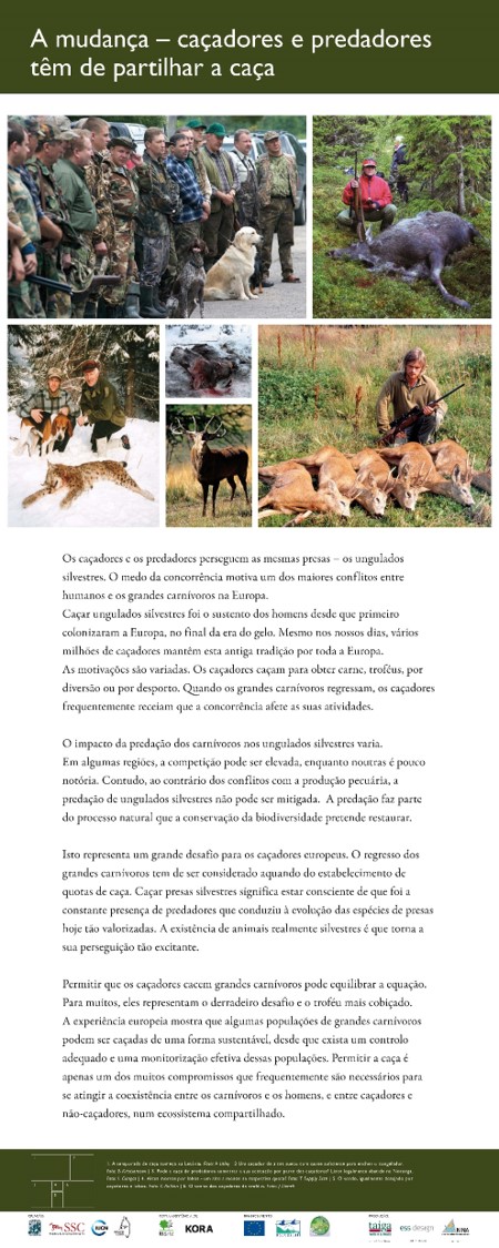 14Cacadores e predadores