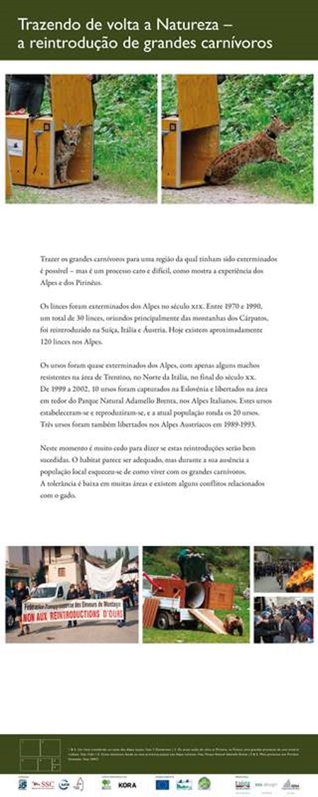 21Reintroducao grandes predadores