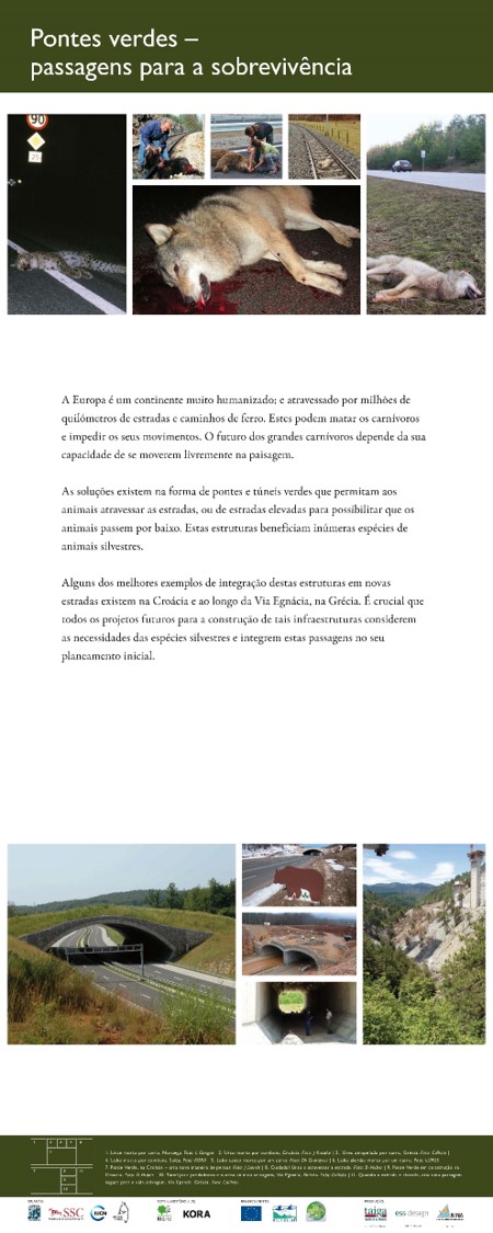 23Pontos verdes
