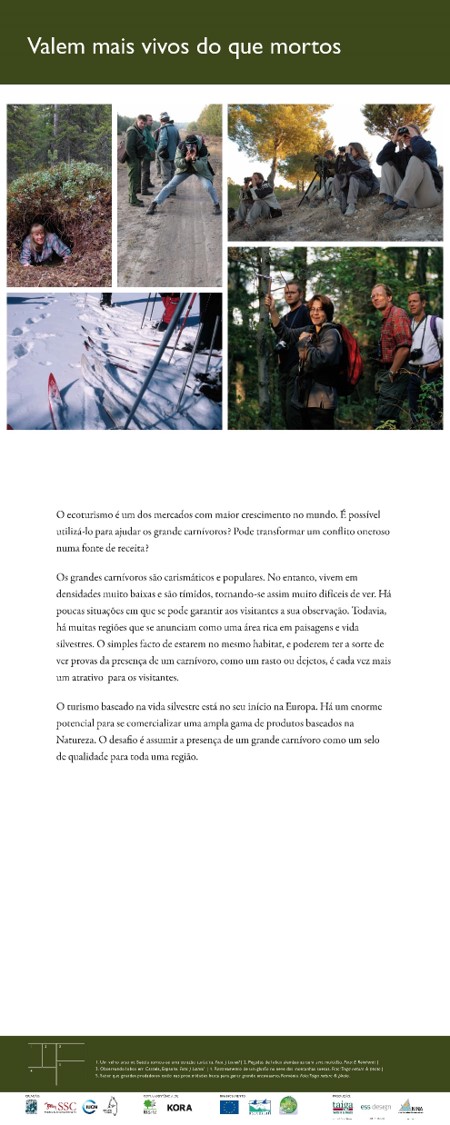 24Valem mais vivos que mortos