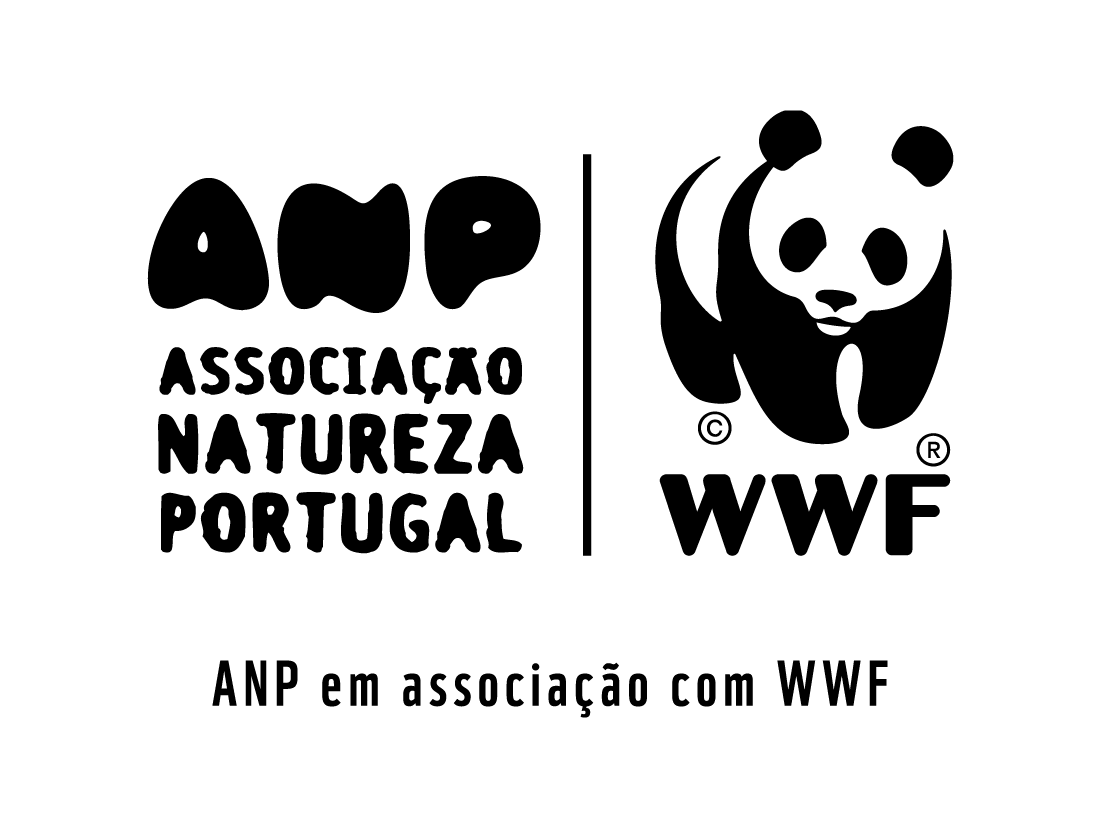 ANP