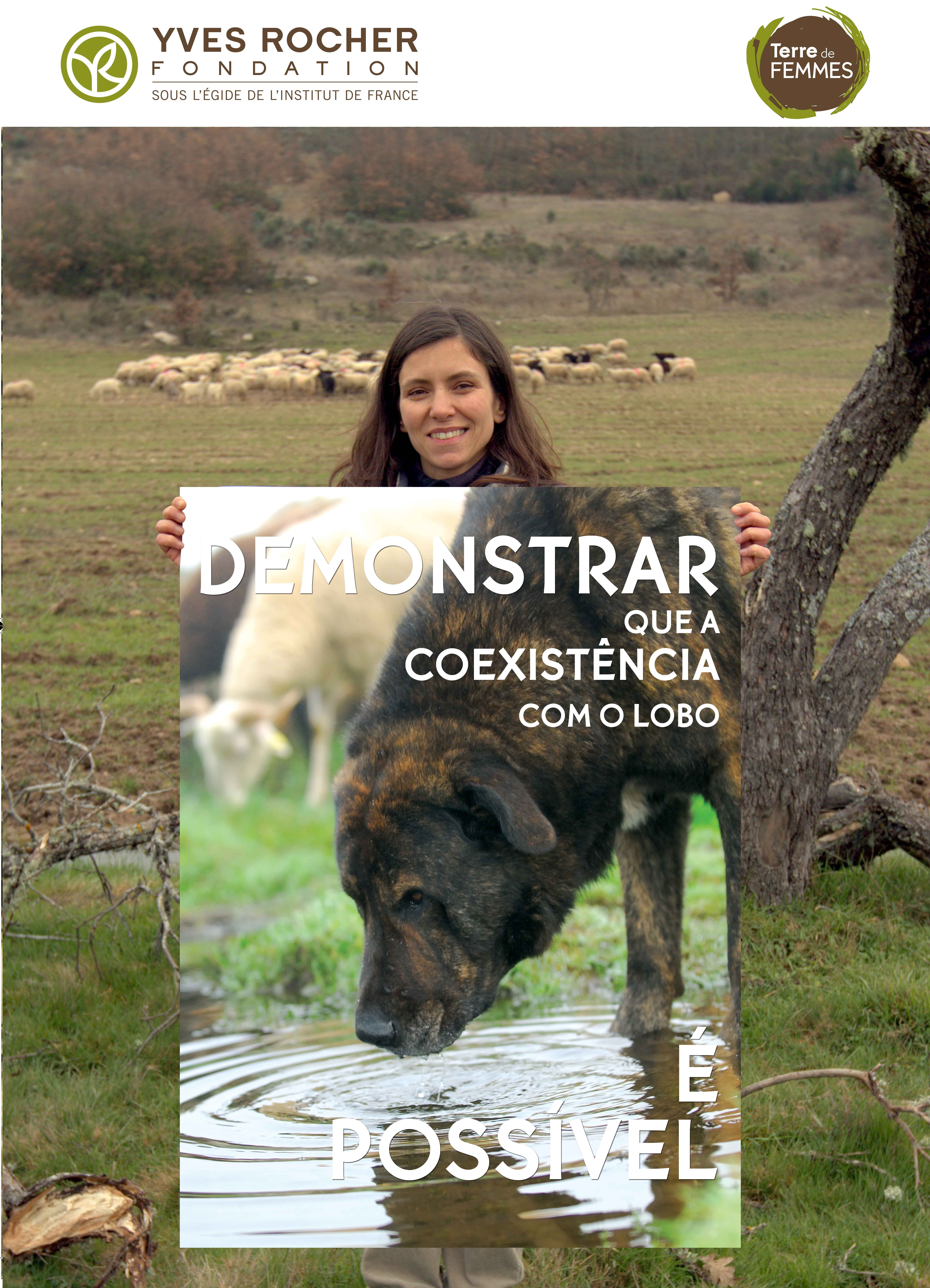 Cartaz