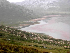 TRANSUMANCIA1