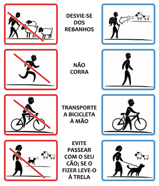 simbolos