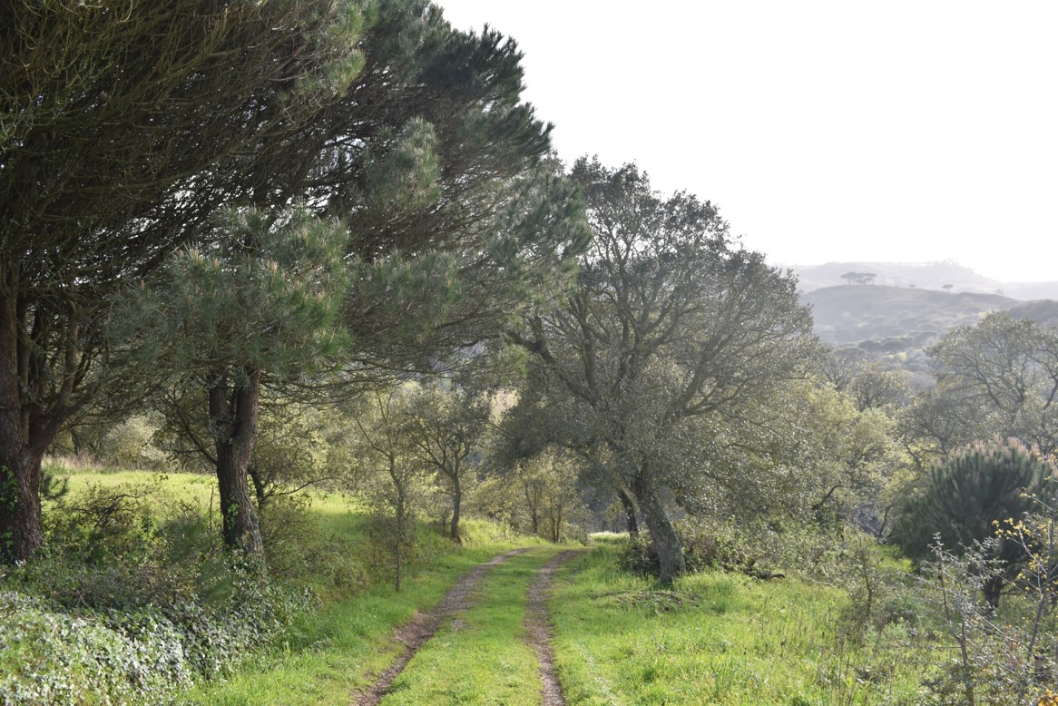 Paisagem