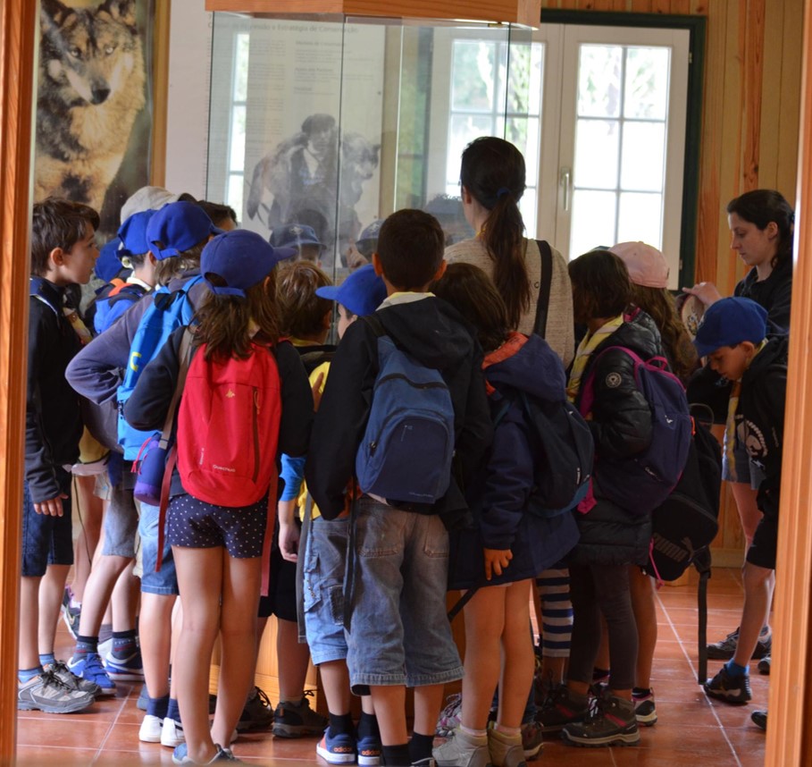 Visita interior