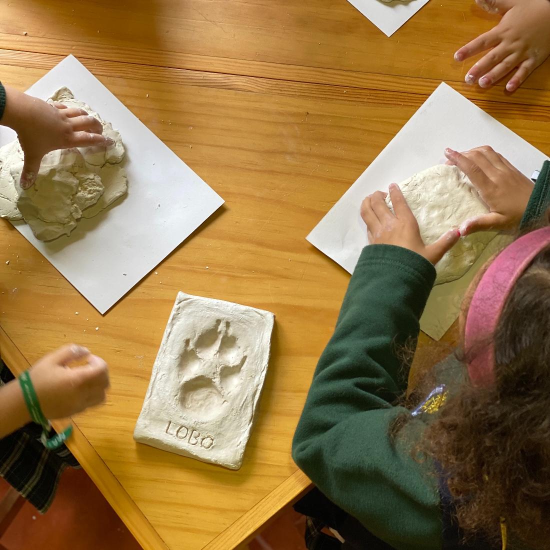 Environmental Education