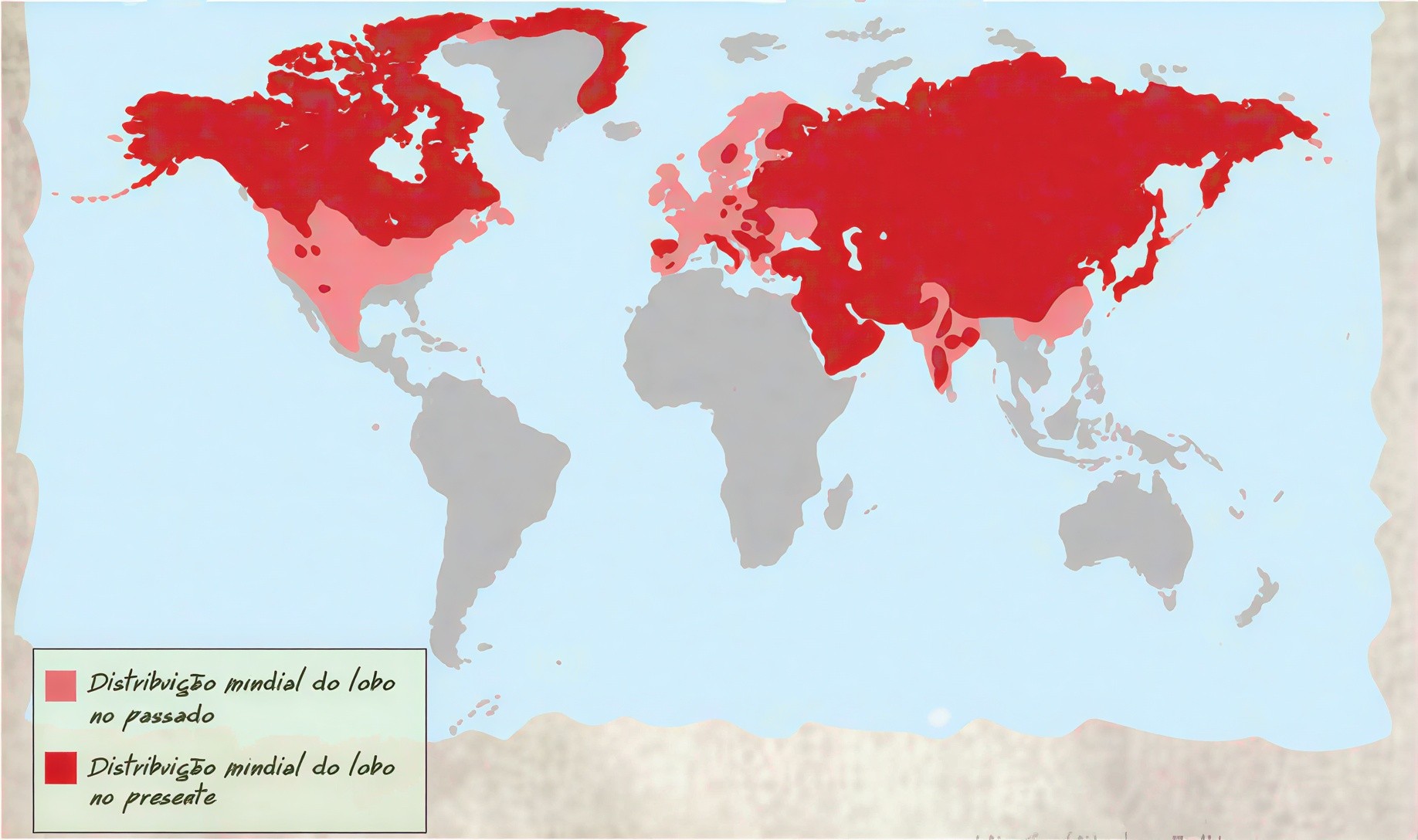 Wolf Distribution Worldwide