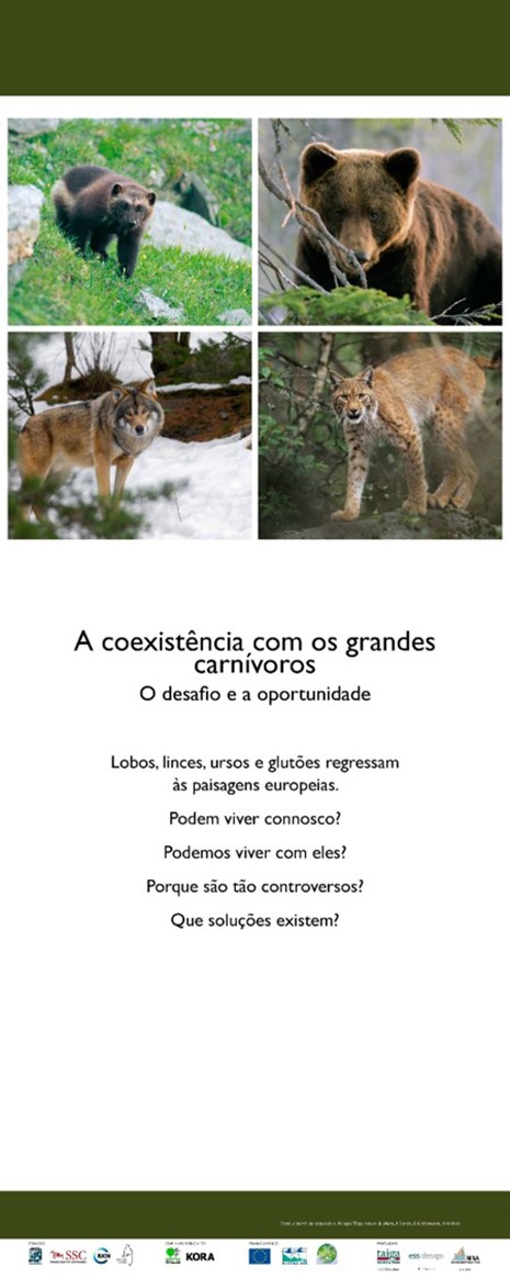 1. Coexistence with large carnivores