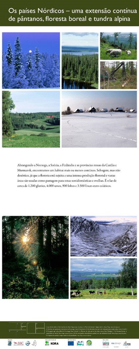 8. The Nordic countries - a continuous expanse of swamps, boreal forest, and alpine tundra