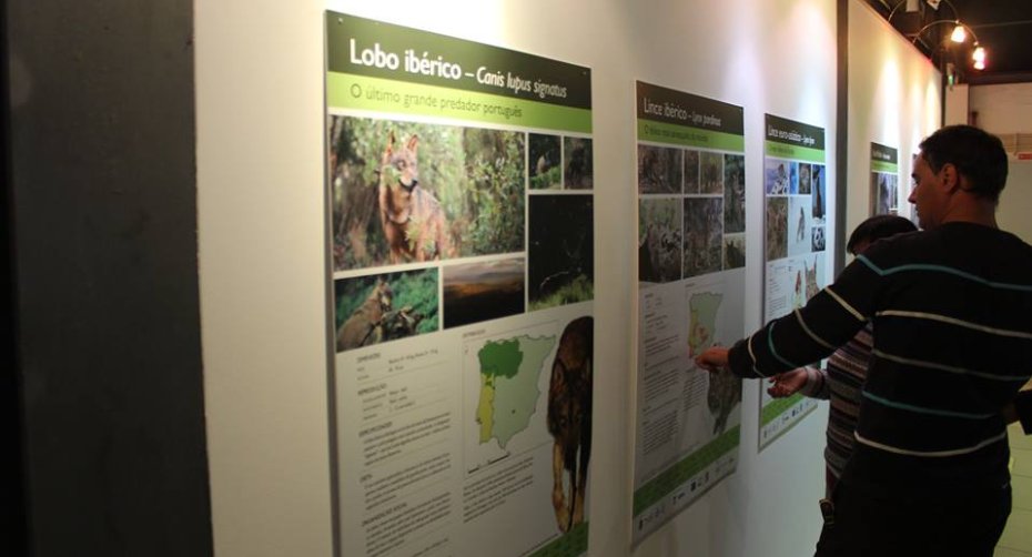Coexistence with Large Carnivores: The Challenge and the Opportunity