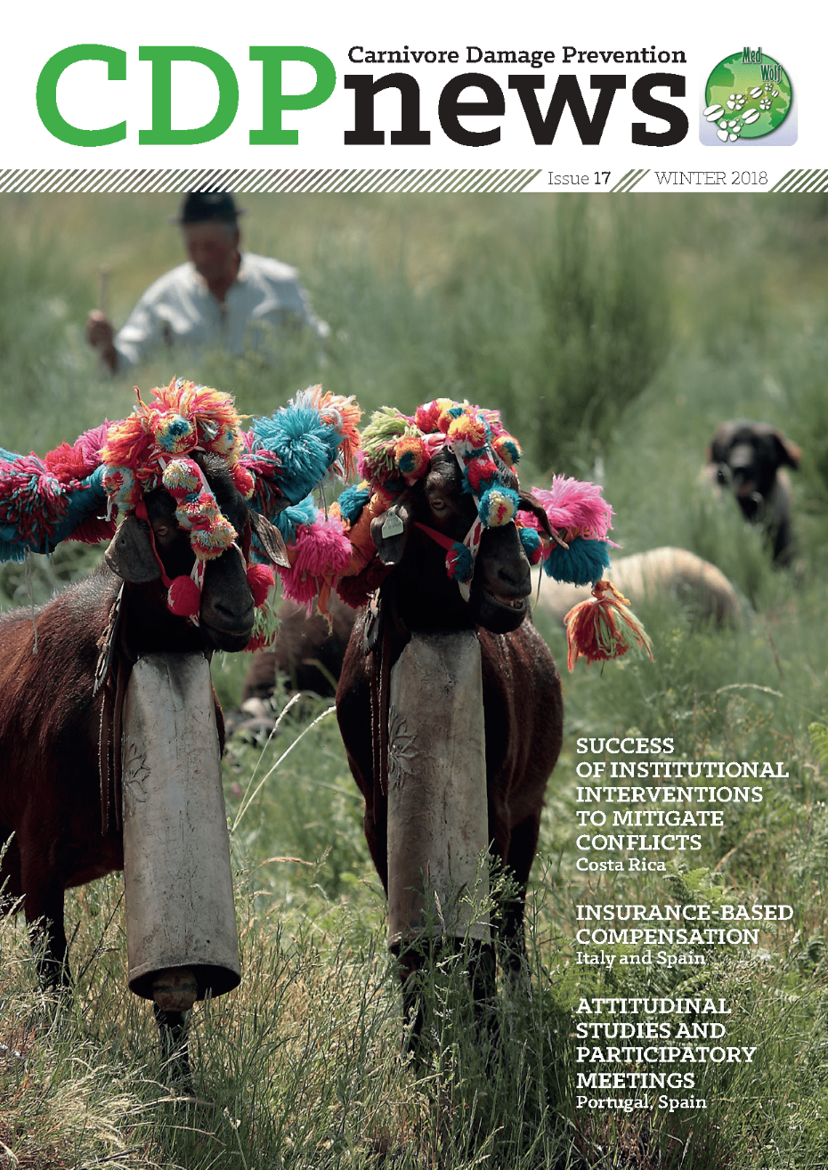 Issue 17 Winter 2018