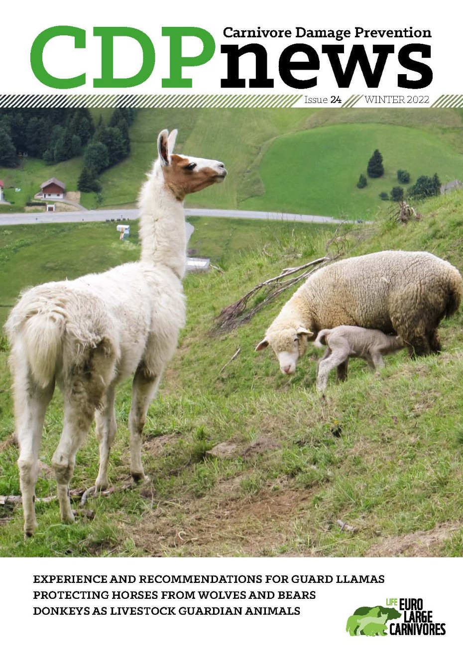 Issue 24 Winter 2022