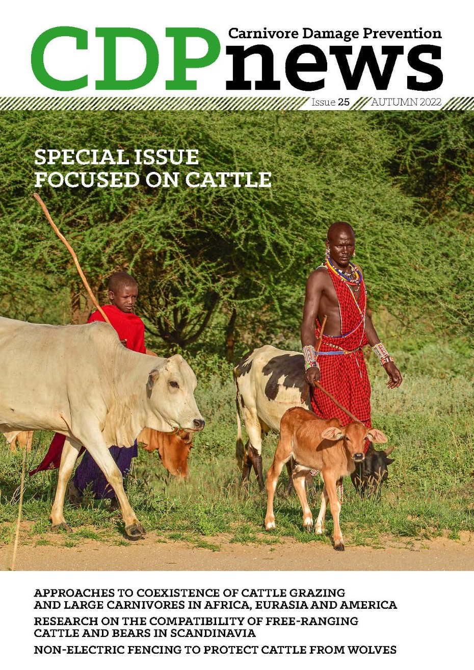 Issue 25 Autumn 2022