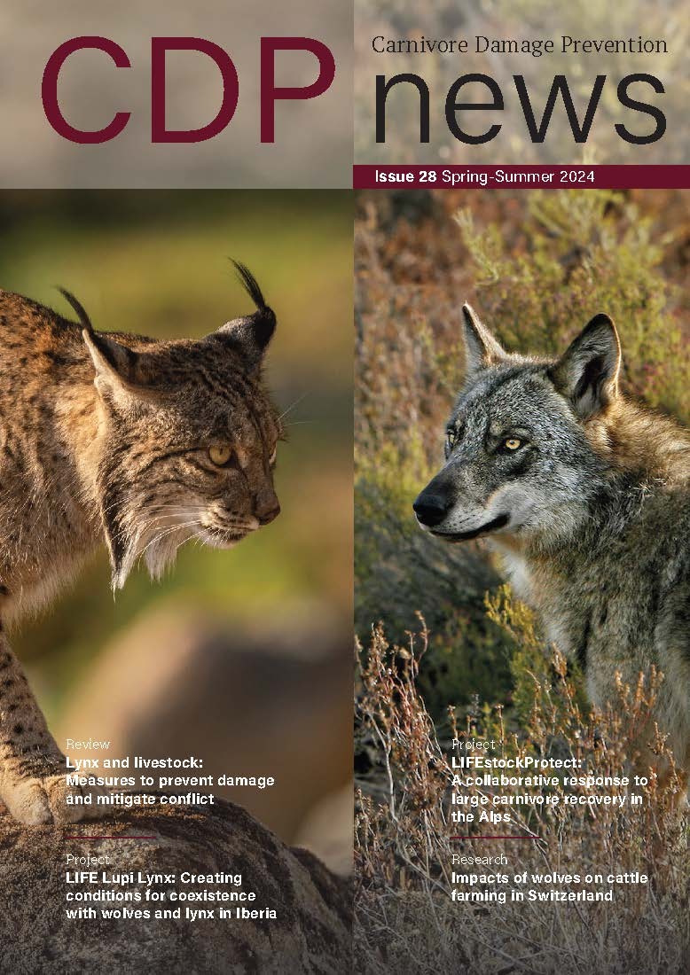 Issue 28 Spring-Summer 2024