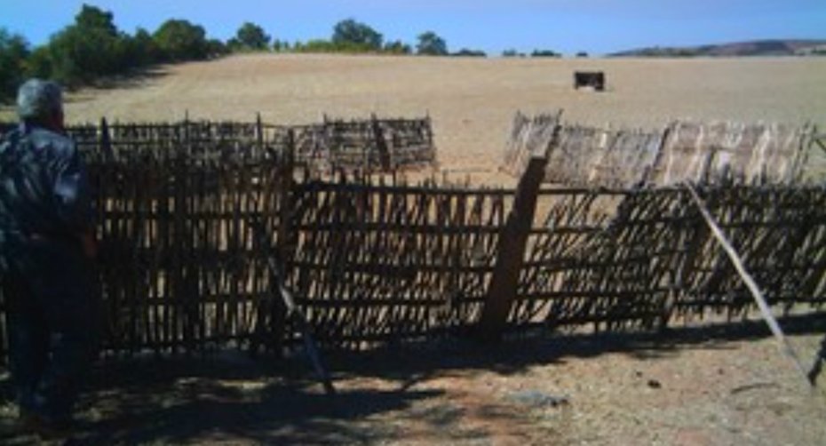 Wooden corral