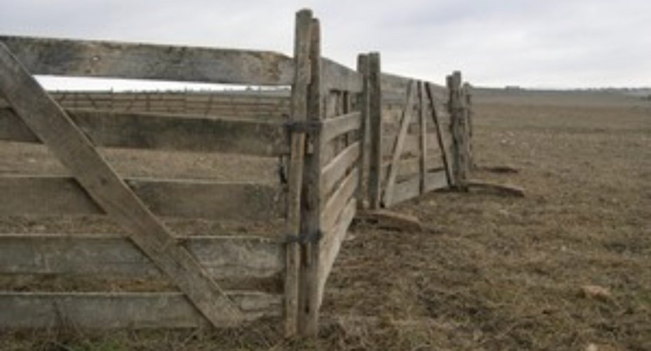 Wooden corral