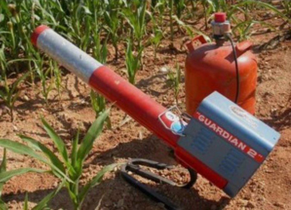 Gas detonator