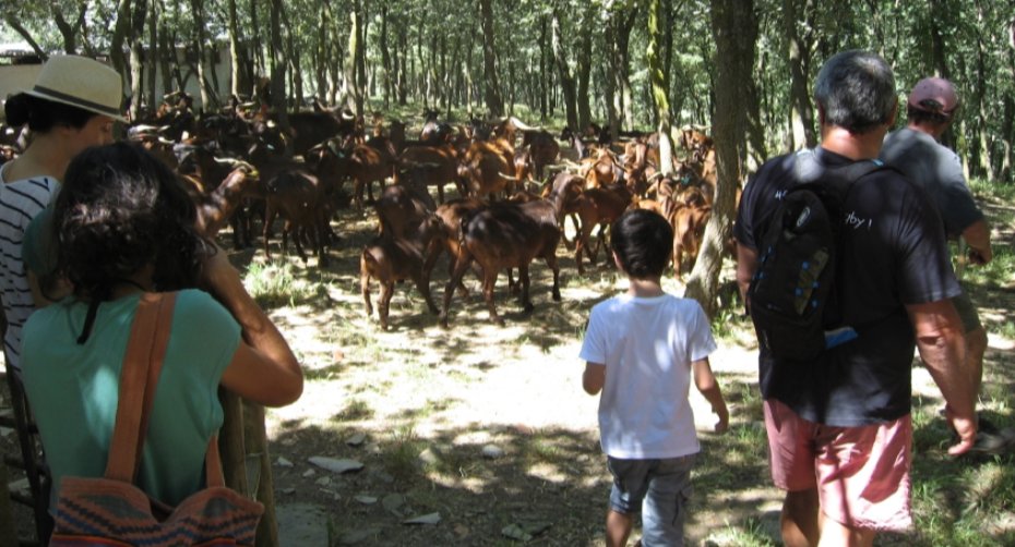 Ecotourism