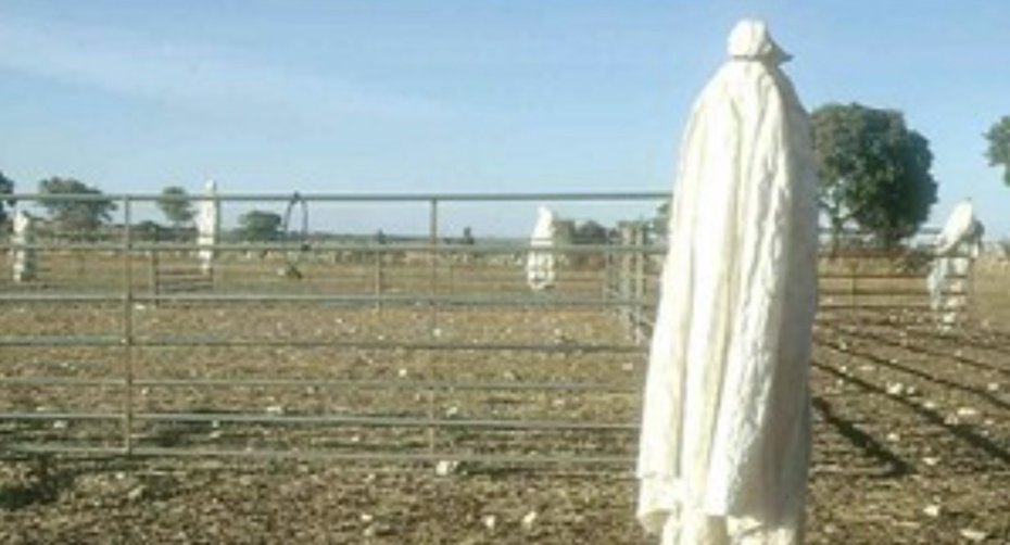 Scarecrow