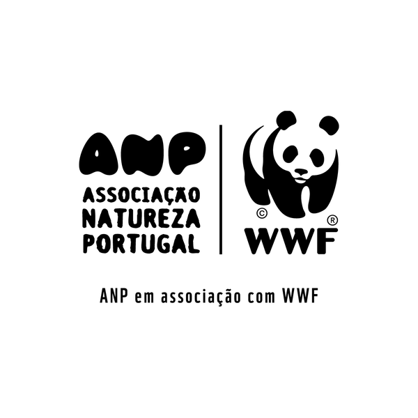 Logo ANP