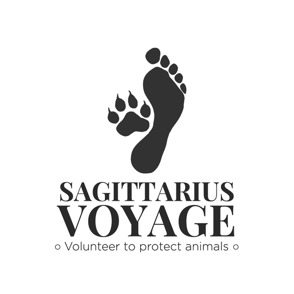 Logo Sagittarius Voyage
