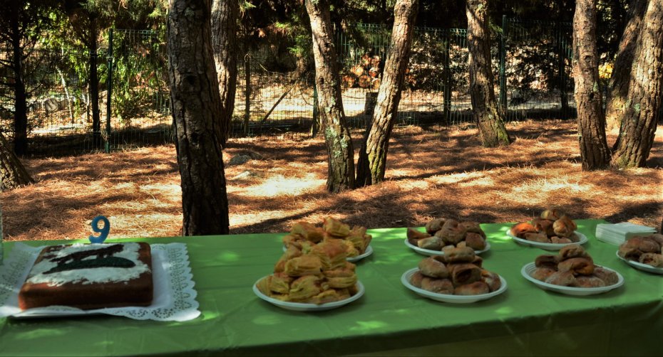 Birthday Parties