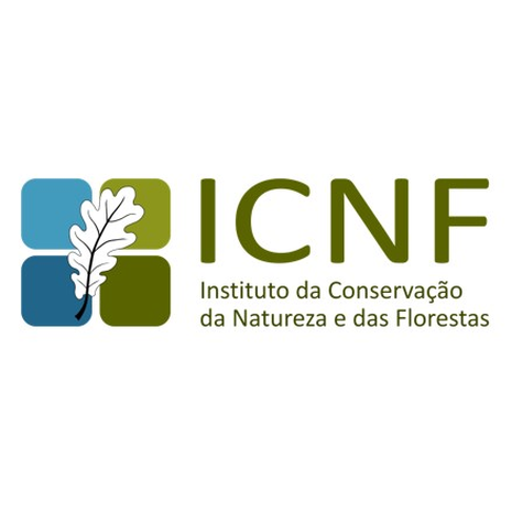 Logo ICNF