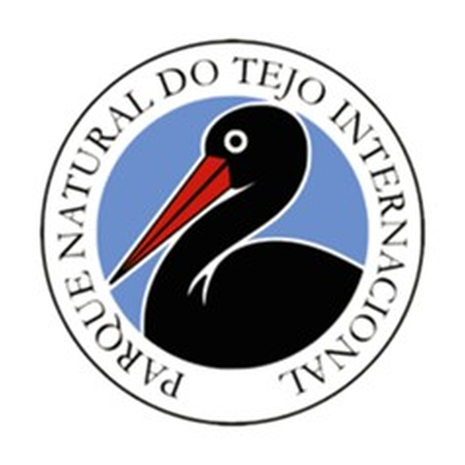 Logo PNTI