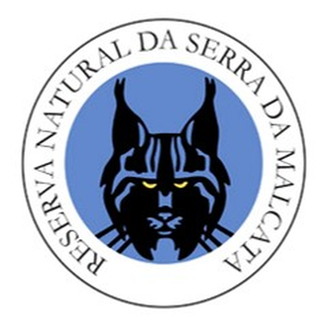 Logo RNSM