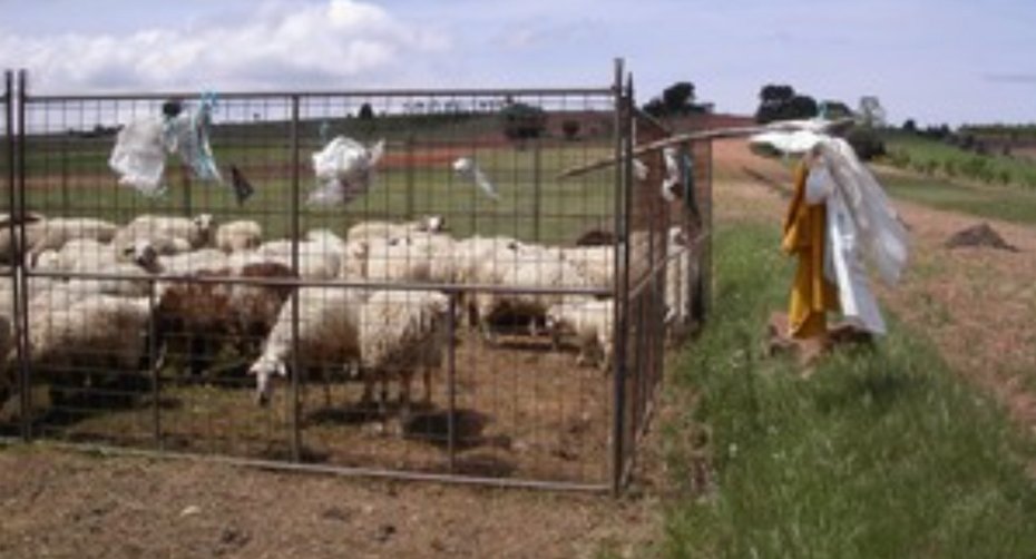 Plastic bags in a corral