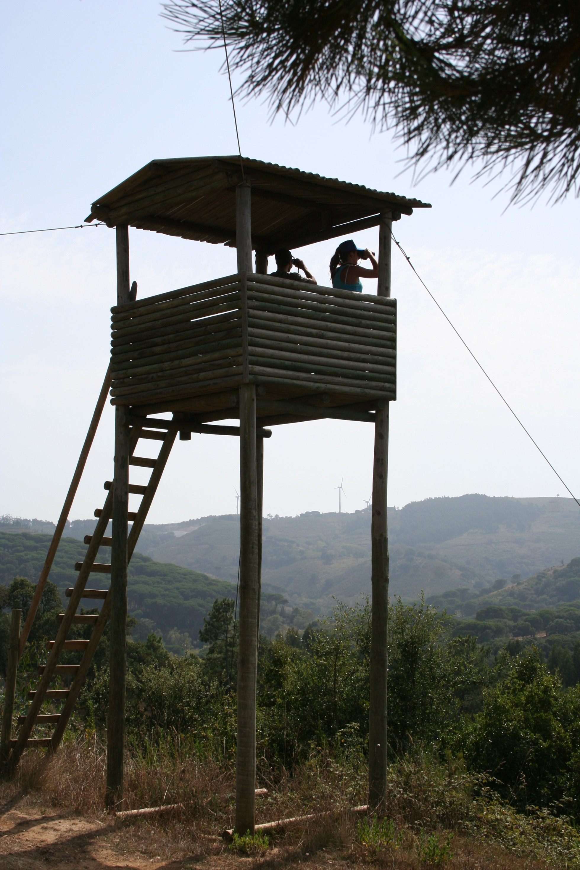 Volunteer program