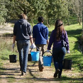 Volunteer Program