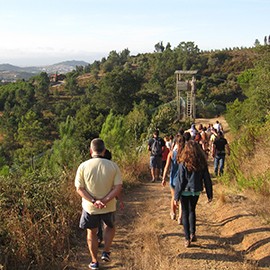 Visit the CRLI