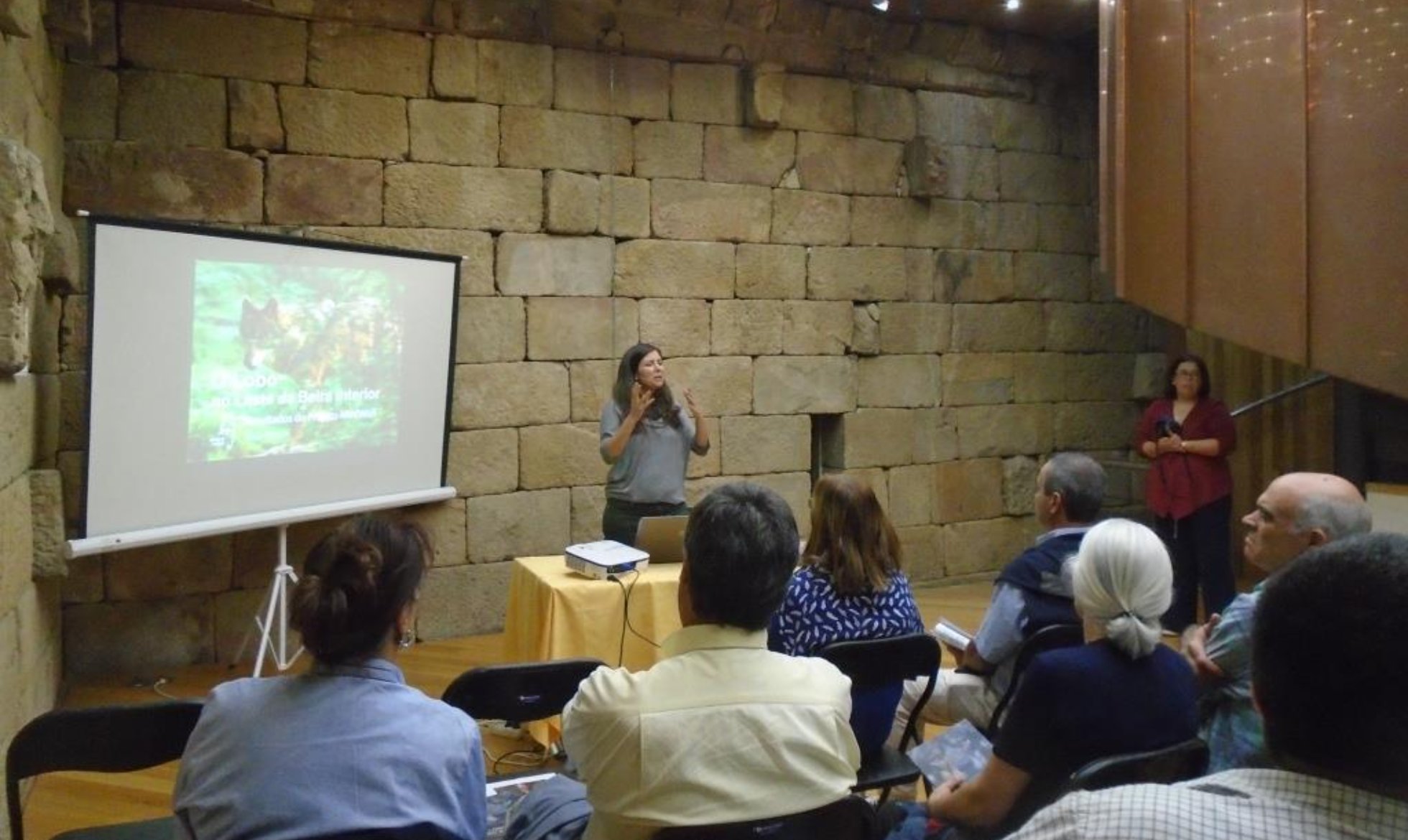 Museum at Night: The Wolf in the Eastern Beira Interior