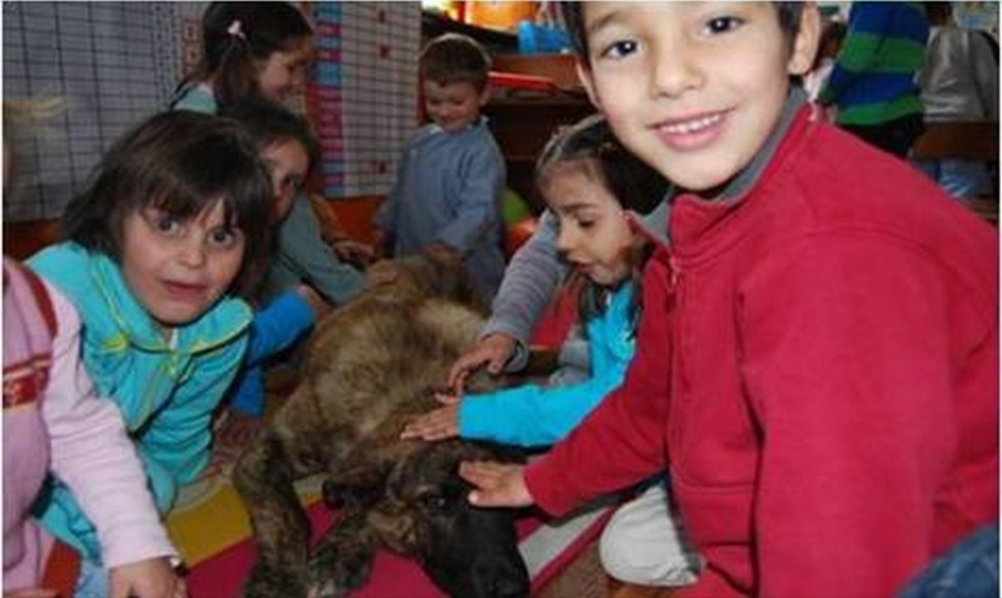 Livestock Guardian Dogs also go to school!