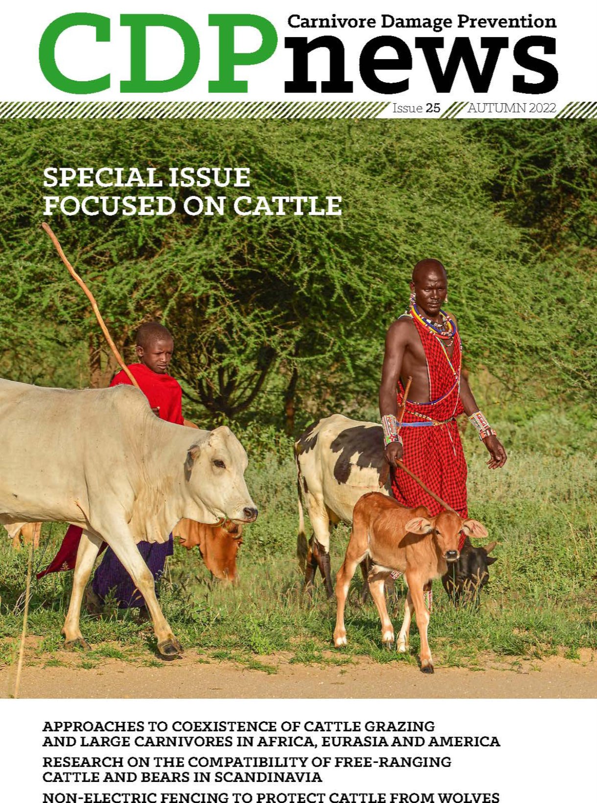 Issue 25 Autumn 2022