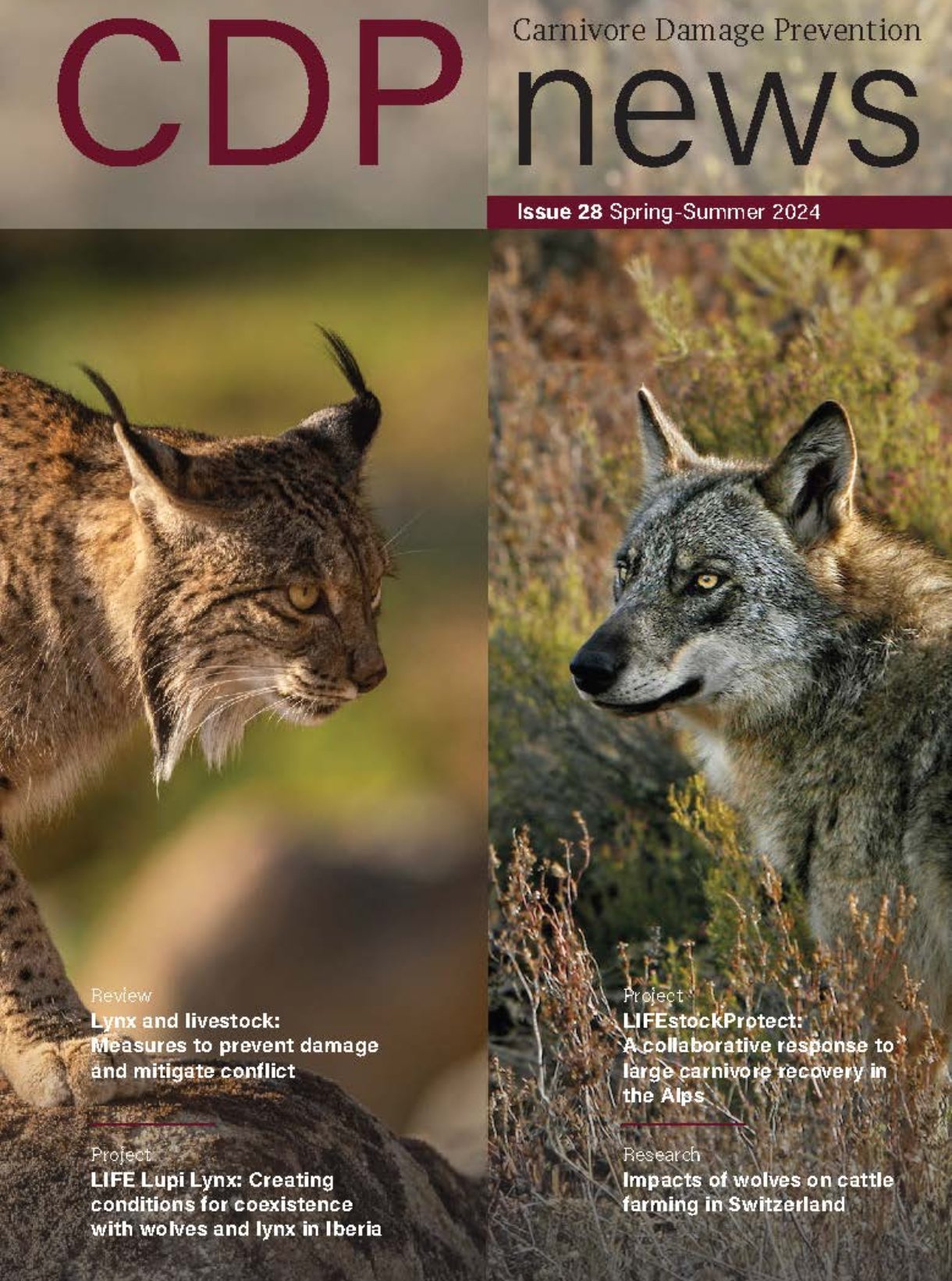 Issue 28 Spring-Summer 2024