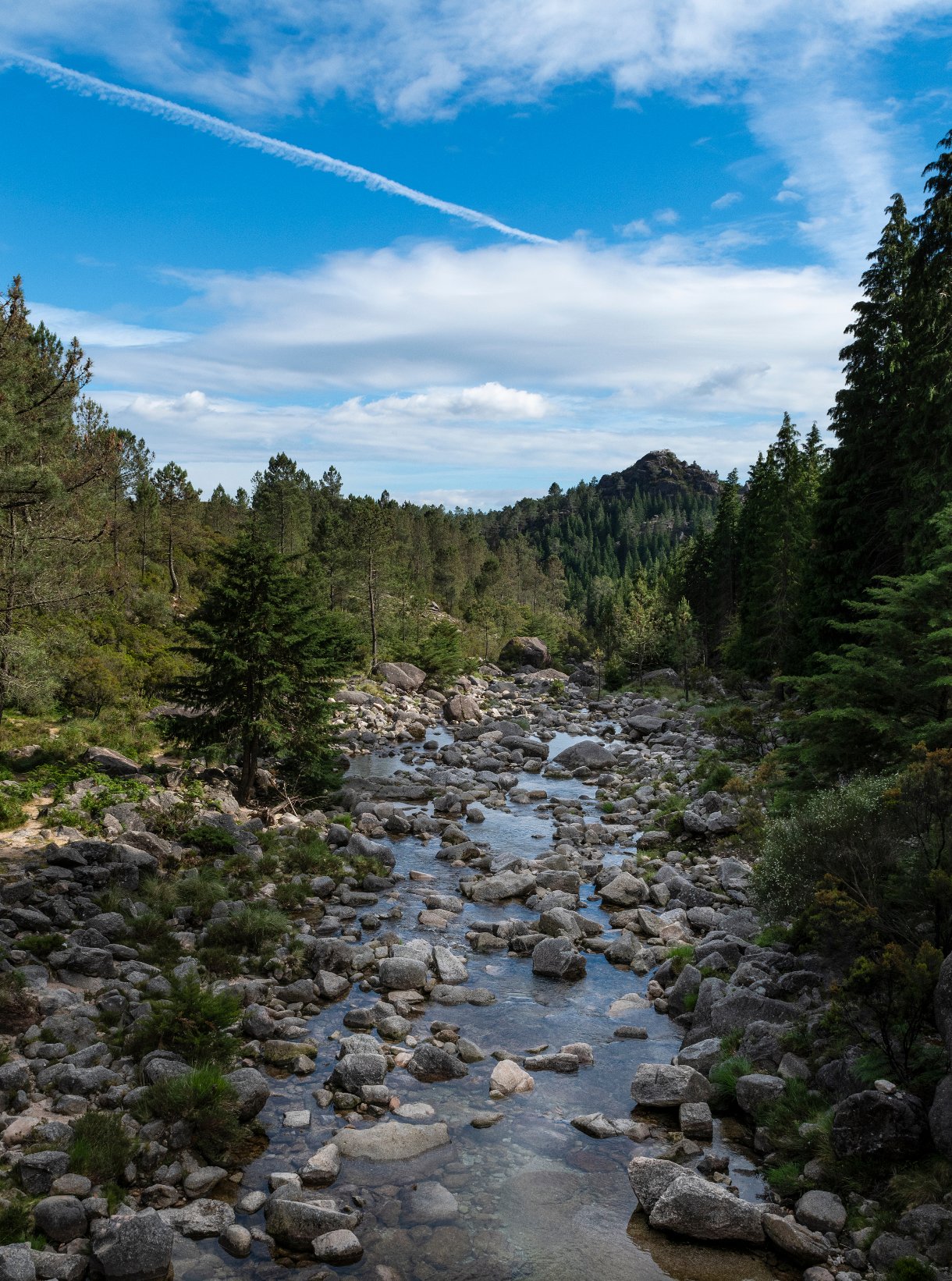 Participatory Workshop: Peneda-Gerês National Park – Territory of Men and Wolves
